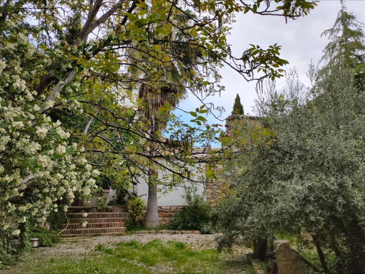 Casa Palacio El Caballero De Malta Úbeda Buitenkant foto